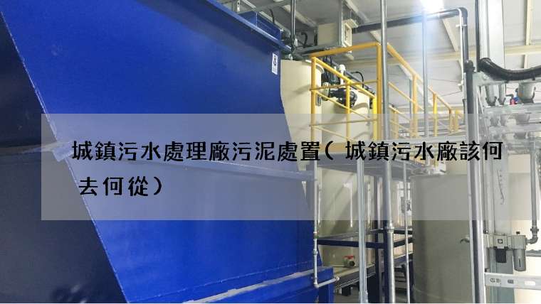城鎮污水處理廠污泥處置(城鎮污水廠該何去何從)